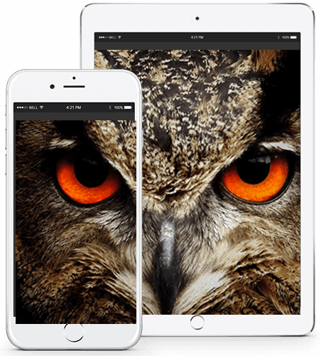 Digital Presence - Agence Web - Webdesign