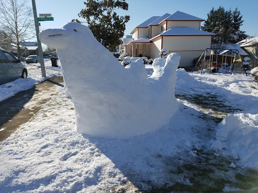 Park «Noble Woods Park», reviews and photos, 475 SE Century Blvd, Hillsboro, OR 97123, USA