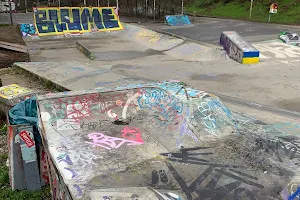 Skate Park "Dog Shit Spot" image