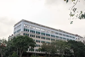 Rustomjee Cambridge International School image