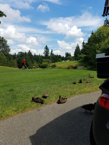 Golf Club «Fairwood Golf & Country Club», reviews and photos, 17070 140th Ave SE, Renton, WA 98058, USA