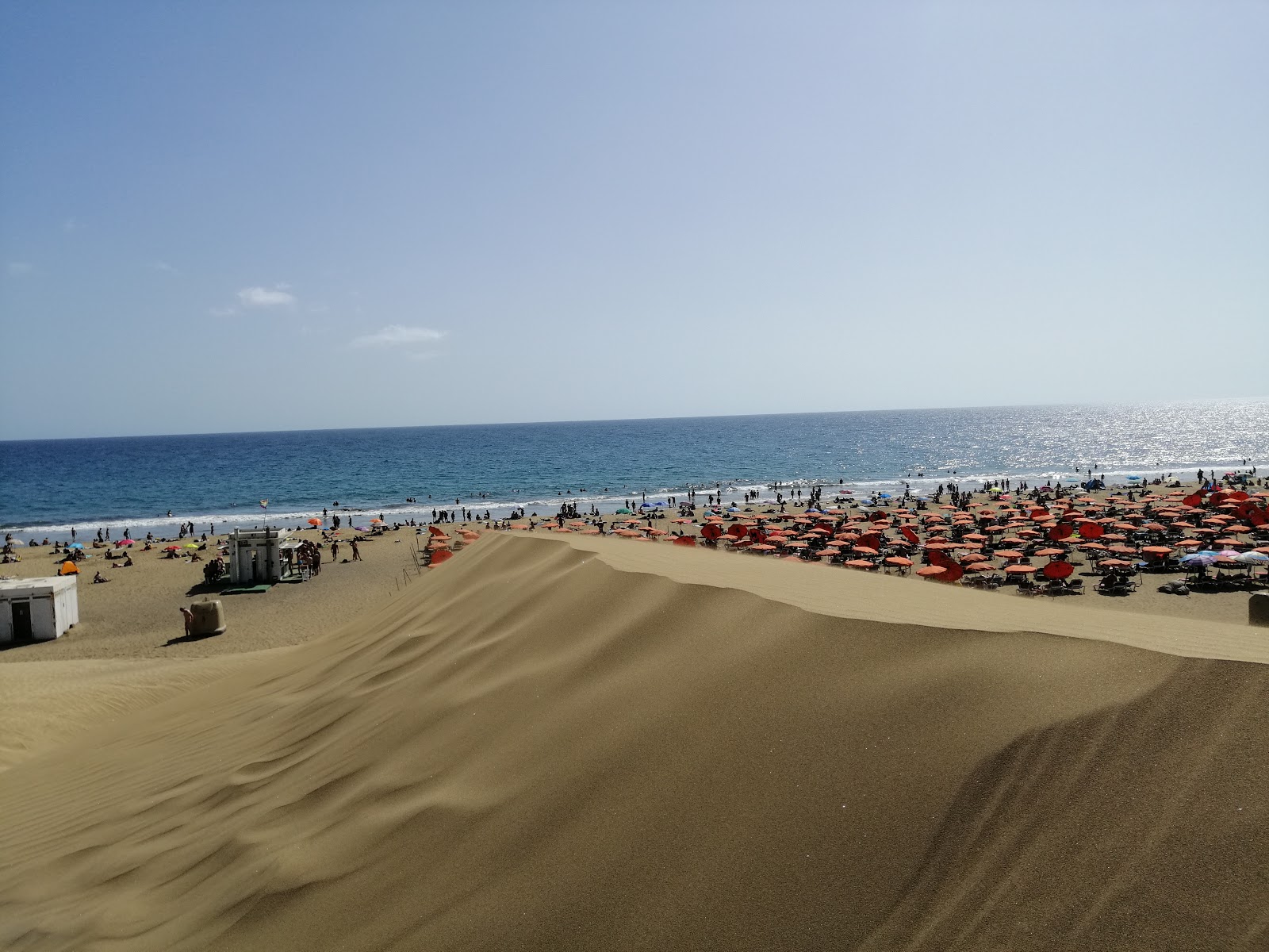 Zdjęcie Maspalomas Wild z proste i długie