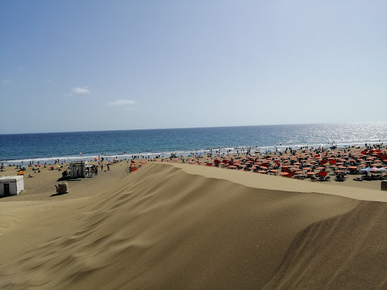 Maspalomas Wild