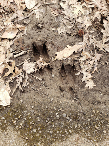 Park «Bechtel Park», reviews and photos, Naamans Rd, Claymont, DE 19703, USA