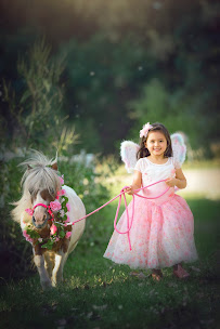 Amanda Sun Photos - Photo 7 - Car repair in , Rochester