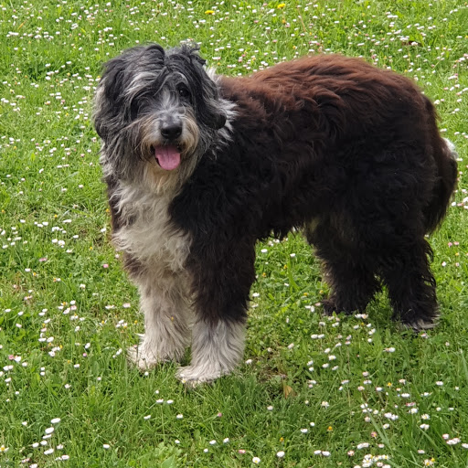 Clínica Veterinaria Nuevo Ensanche en Bilbao