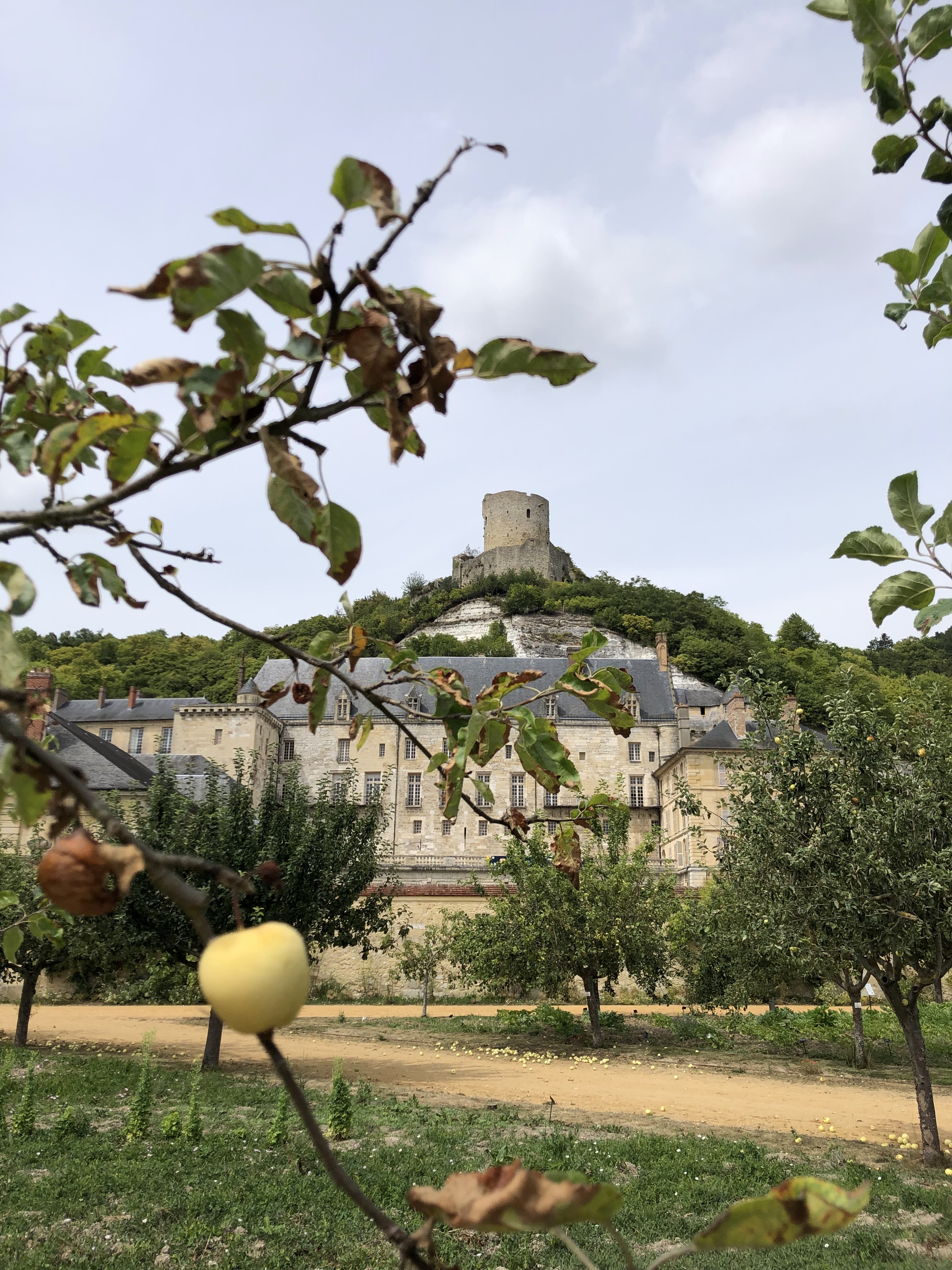 Photo n° 2 de l'avis de Luc.e fait le 03/08/2019 à 16:27