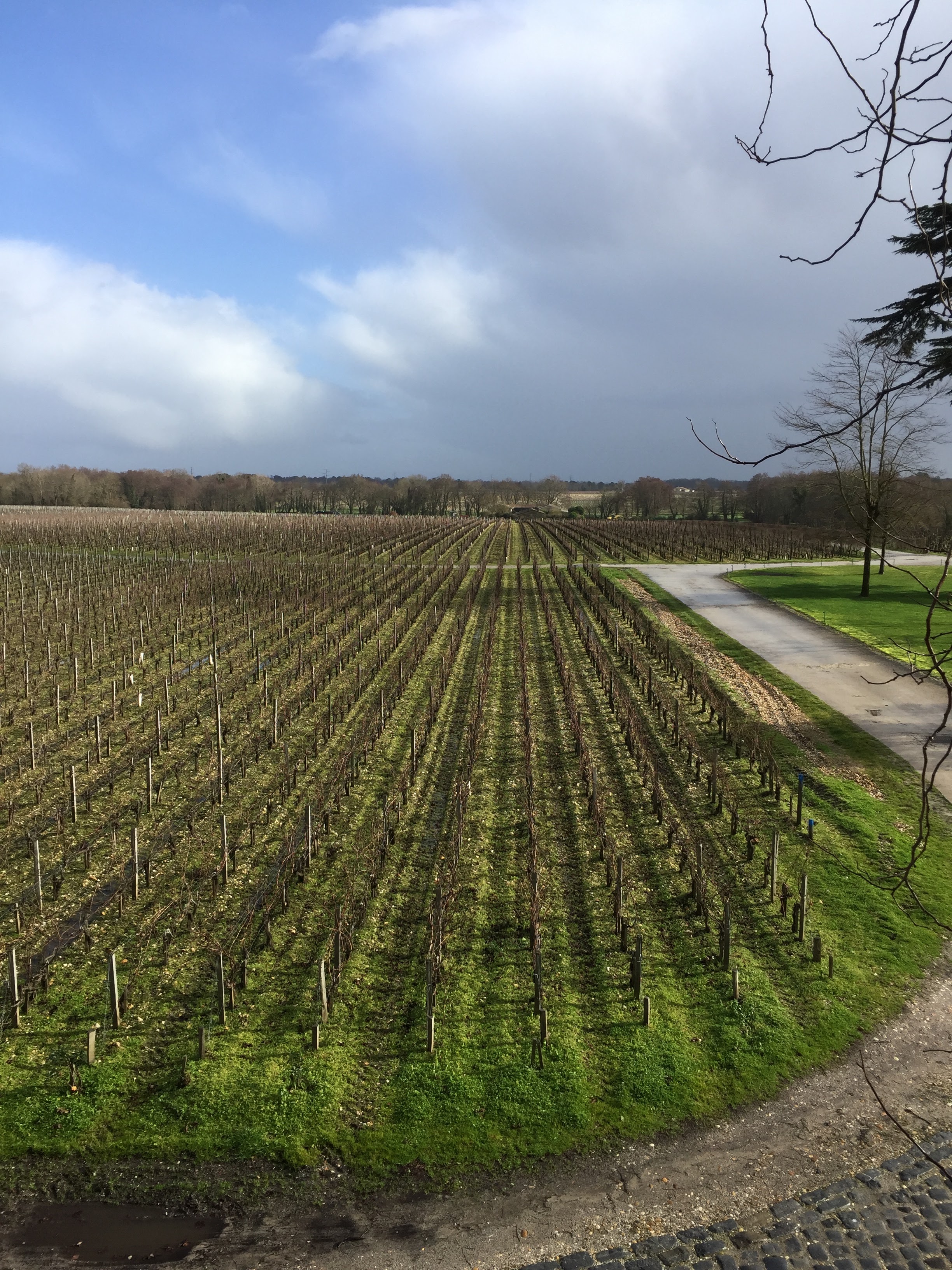 Photo n° 8 de l'avis de laurent.E fait le 17/03/2019 à 18:17