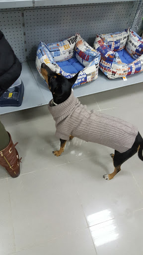 Bichos en Aracena, Huelva