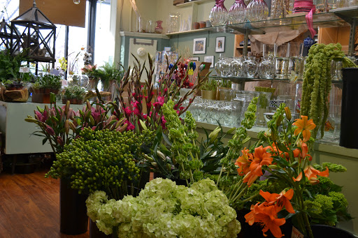 Florist «Park Florist», reviews and photos, 6921 Laurel Ave, Takoma Park, MD 20912, USA