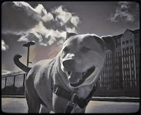 Jesse Walks Far - Photo 3 - Car repair in Berkeley, CA, Berkeley