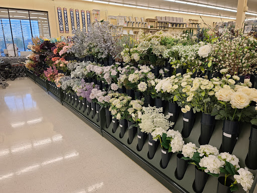 Craft Store «Hobby Lobby», reviews and photos, 6320 W Plano Pkwy, Plano, TX 75093, USA