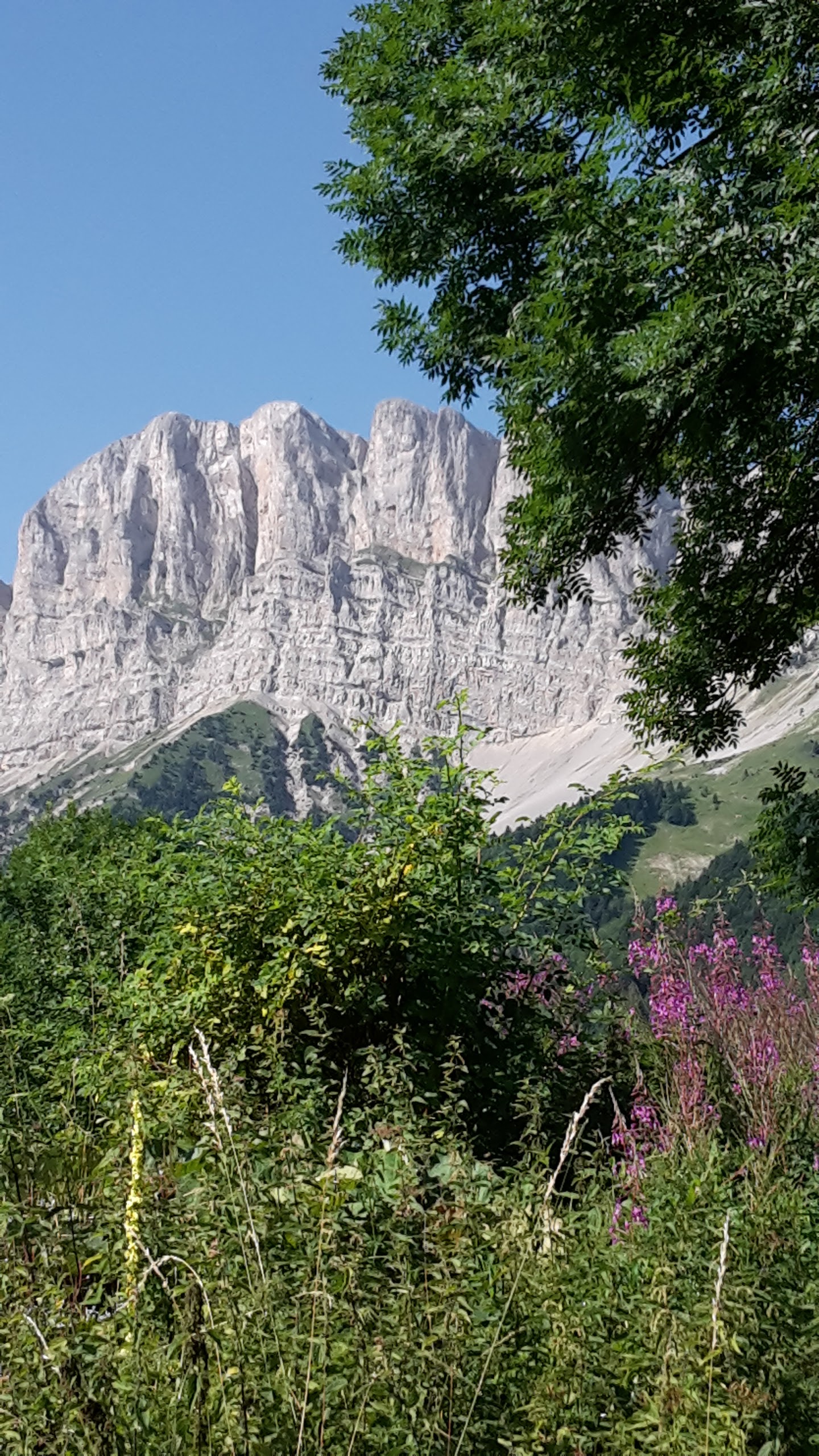 Photo n° 1 de l'avis de Nancy.a fait le 30/07/2017 à 09:17