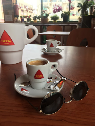 Avaliações doCafé Snack-Bar O Palheiro em Cantanhede - Cafeteria