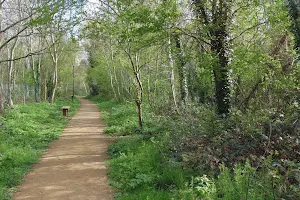 Eardley Road Sidings Nature Reserve image