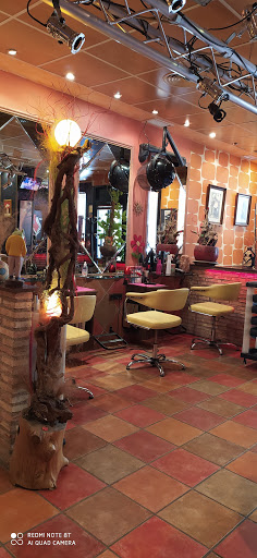 laPelu en Navalmoral de la Mata, Cáceres‎