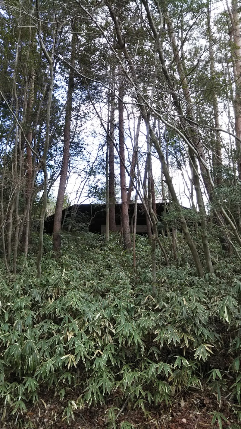 奈良県立野外活動センター 雨天キャンプファイヤー場