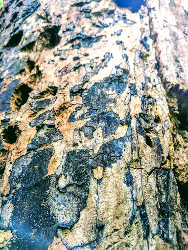 Park «Potomac Overlook Regional Park», reviews and photos, 2845 Marcey Rd, Arlington, VA 22207, USA