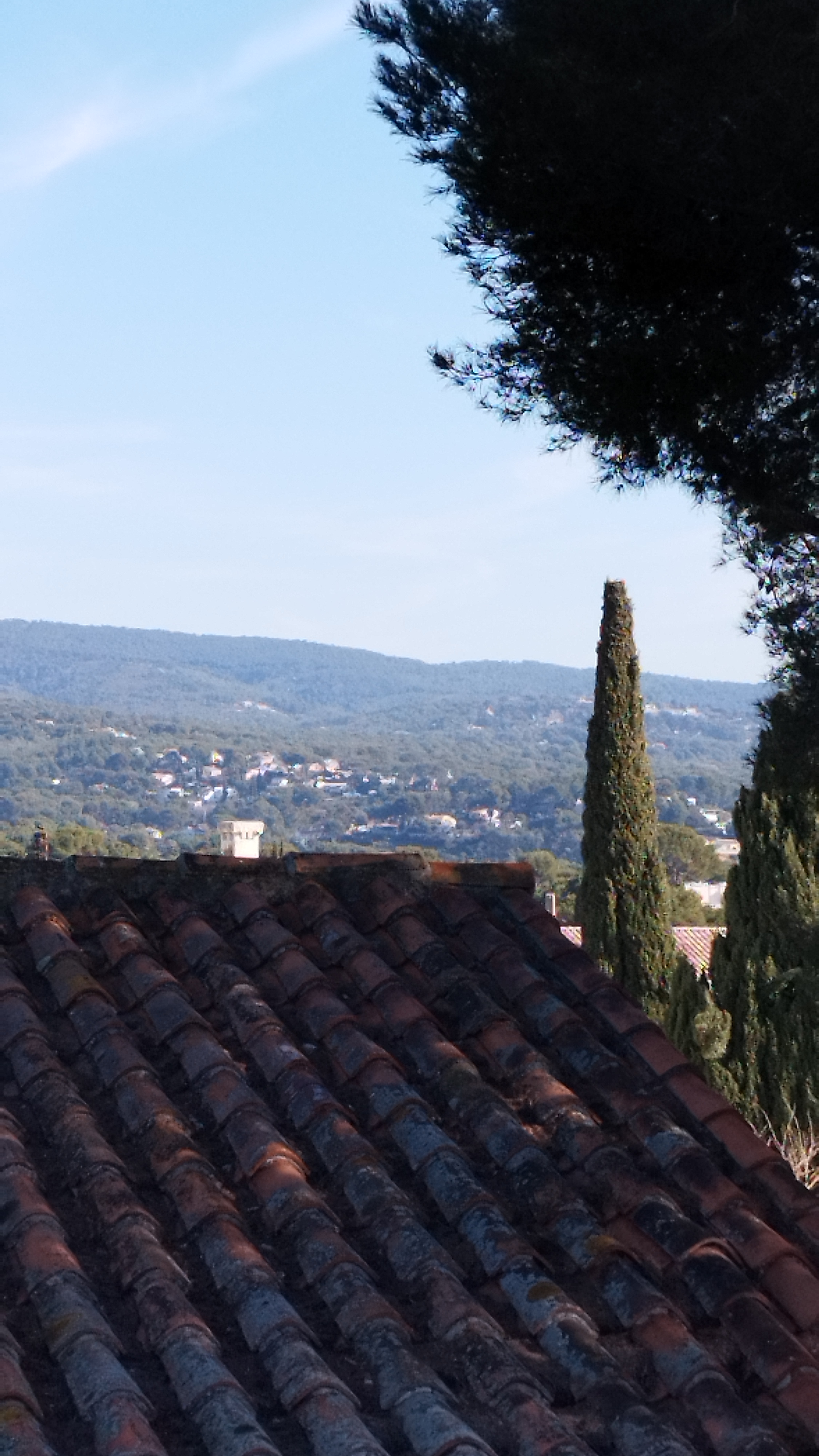 Photo n° 1 de l'avis de Dalia. fait le 17/02/2023 à 17:58