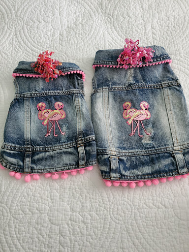 Pet Supply Store «Silly Willies», reviews and photos, 218 Flagler Ave, New Smyrna Beach, FL 32169, USA