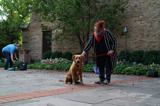 Community Center «Winnetka Community House», reviews and photos, 620 Lincoln Ave, Winnetka, IL 60093, USA