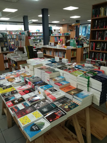 Librairie Librairie Papeterie Fantasio Villeurbanne