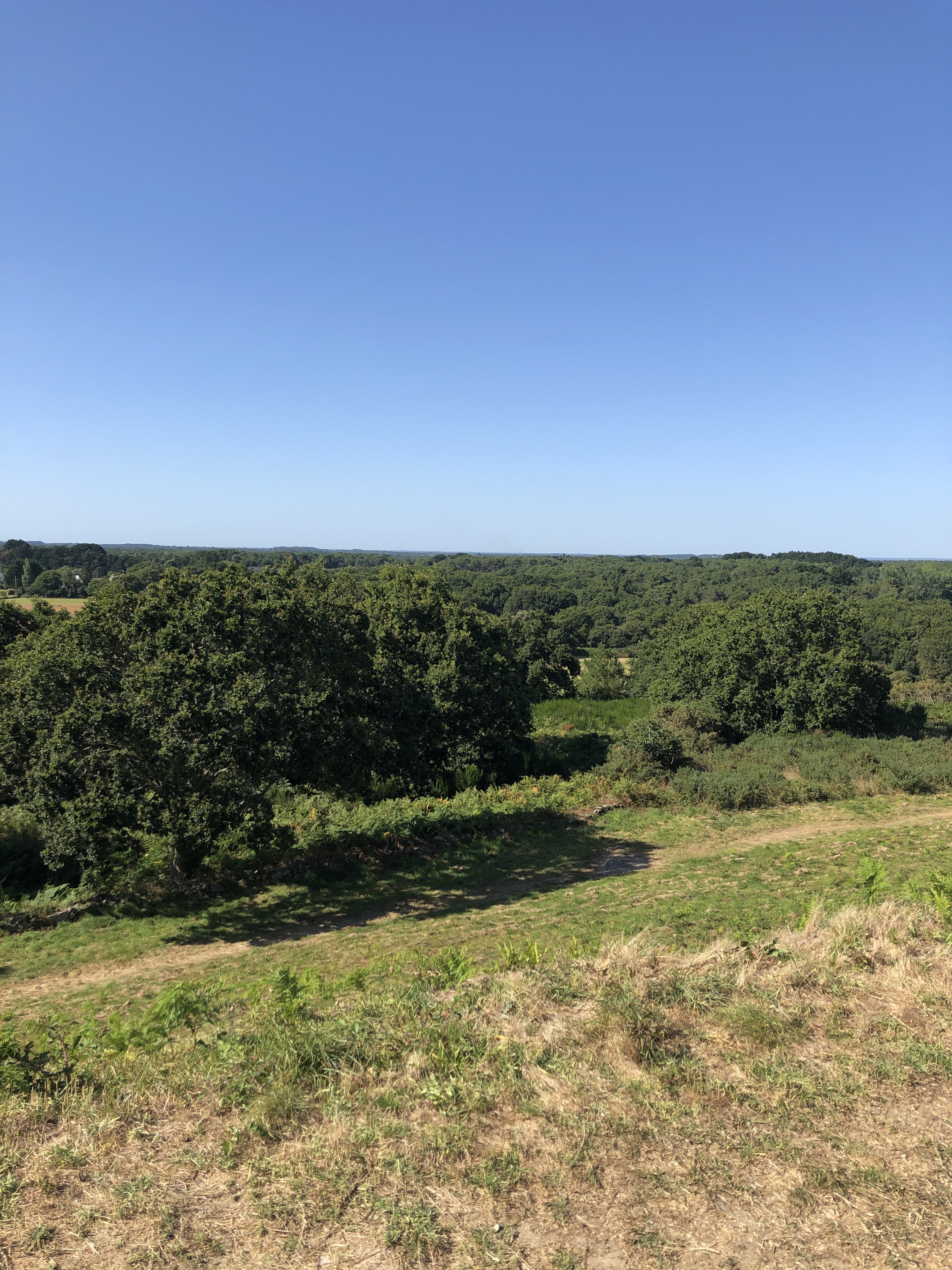 Photo n° 2 de l'avis de OREL.R fait le 21/07/2020 à 15:59