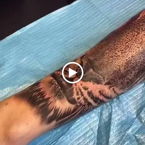 Tattoo Shop «ForeverTat2», reviews and photos, 2962 Pleasant Hill Rd, Kissimmee, FL 34746, USA