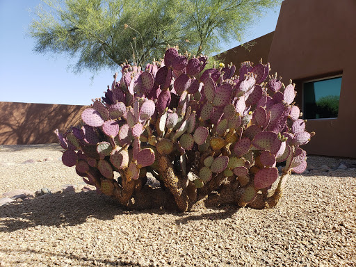 Golf Club «We-Ko-Pa Golf Club», reviews and photos, 18200 E Toh Vee Cir, Fort McDowell, AZ 85264, USA