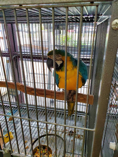 Pet Store «A Family Pet Center», reviews and photos, 6230 N Lockwood Ridge Rd, Sarasota, FL 34243, USA