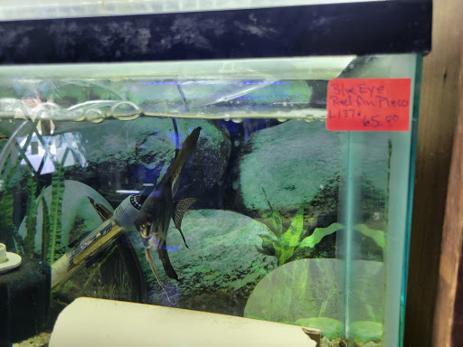 Tropical Fish Store «Emmons Tropical Fish & Ponds», reviews and photos, 1612 Hopmeadow St, Simsbury, CT 06070, USA