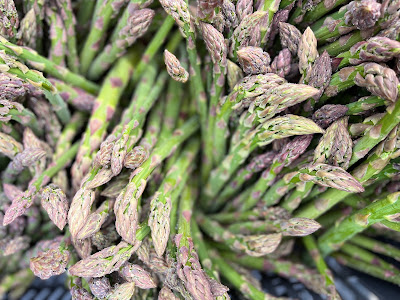 Asperges vertes de Saint Lupien à Saint-Lupien