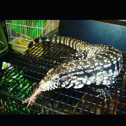 Pet Store «Mike Pet Center LLC», reviews and photos, 133 NJ-35, Neptune City, NJ 07753, USA