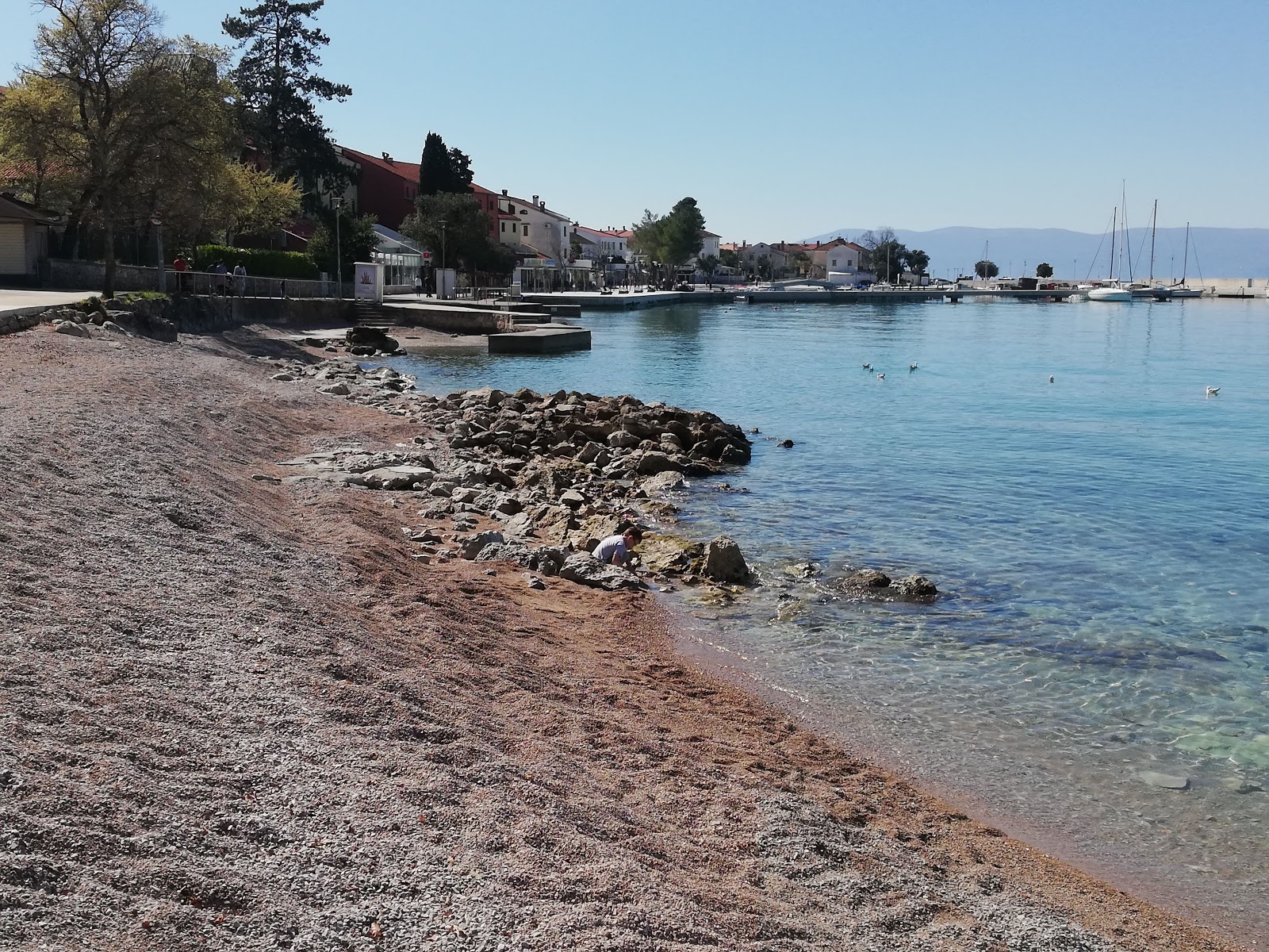 Adriatic beach photo #8