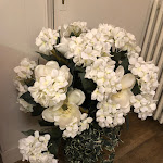 Photo n°2 de l'avis de Elena.a fait le 05/07/2018 à 10:17 sur le  Osteria Bar Sport à Casale Monferrato