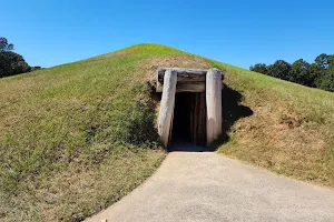 Ocmulgee Mounds National Historical Park image