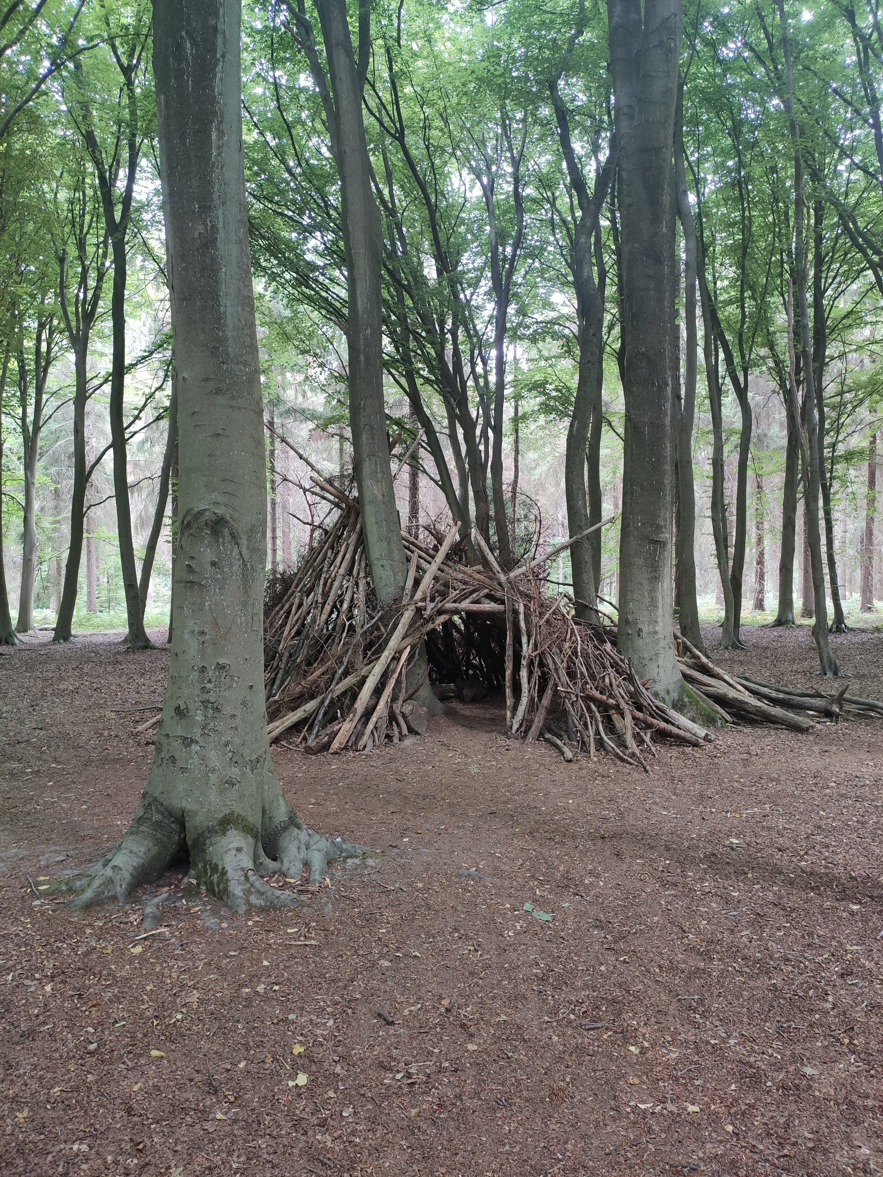 Photo n° 33 de l'avis de LAMBERT.r fait le 16/08/2022 à 19:17