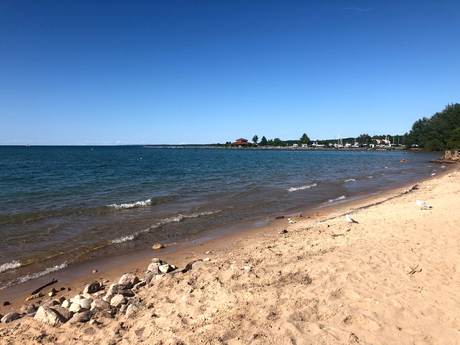 Foto von Elk Rapids Sandbar mit beiger sand Oberfläche