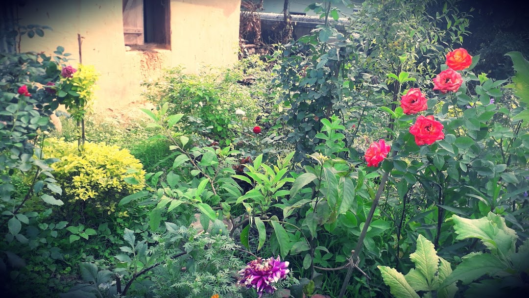Dev Bhavan