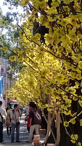 Beauty Salon «Mai Beauty Salon», reviews and photos, 11132 SW Capitol Hwy, Portland, OR 97219, USA