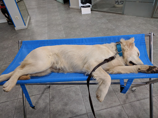 Veterinary Canitas Vega del Rey en Camas