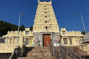 Penang Waterfall Hill Temple (தண்ணீர் மலை கோயில்) image