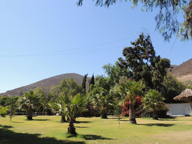 Opiniones de El Edén de Cabildo en Los Andes - Camping