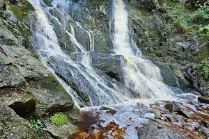Skeleton Gorge Waterfall image