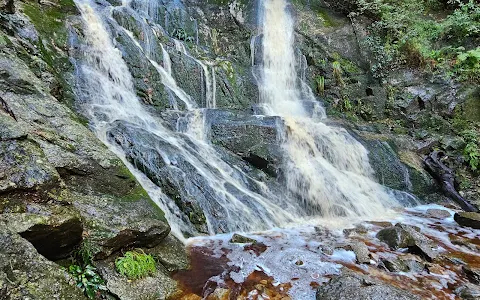 Skeleton Gorge Waterfall image