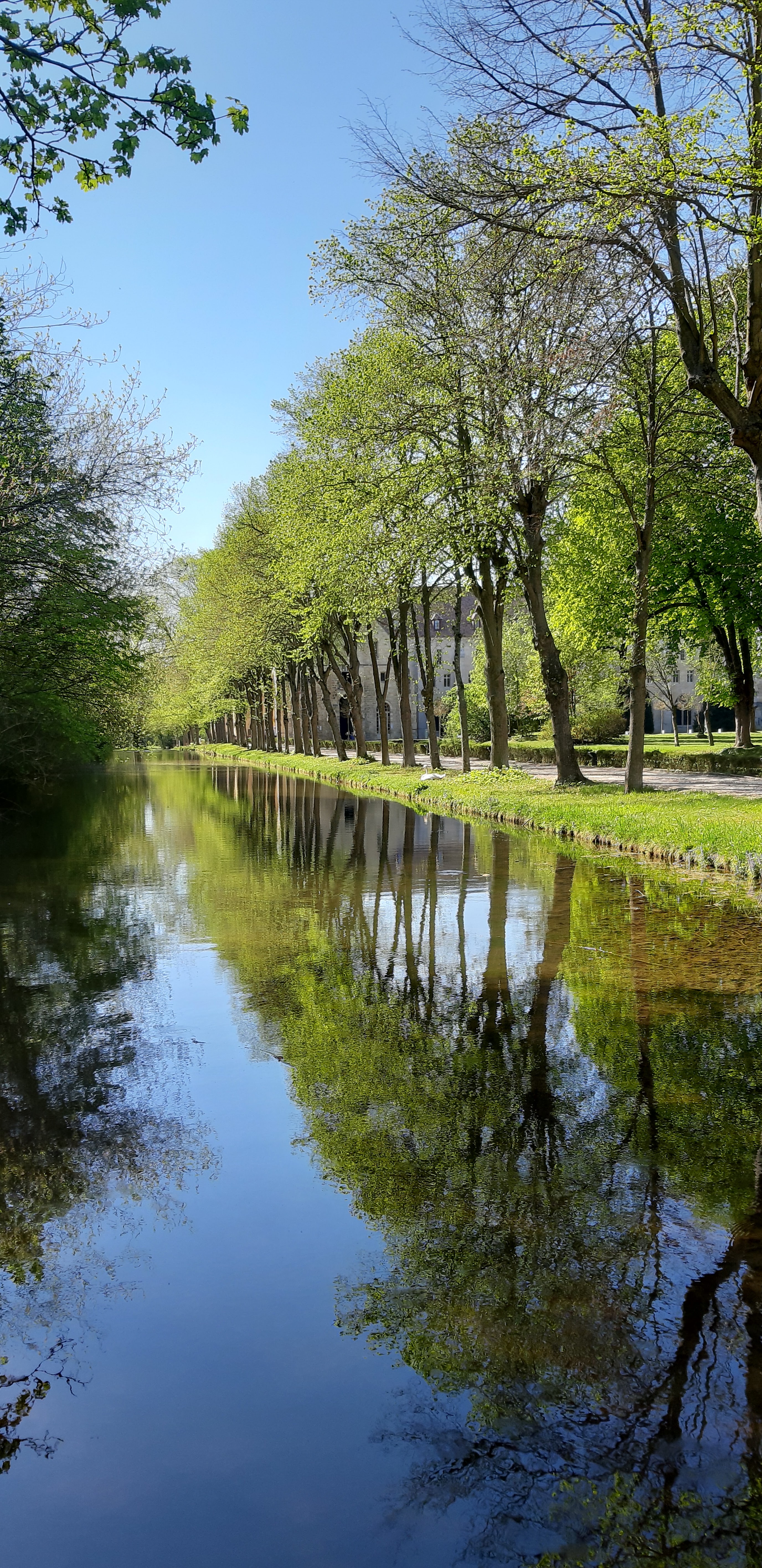 Photo n° 37 de l'avis de Eric.a fait le 21/04/2019 à 12:19