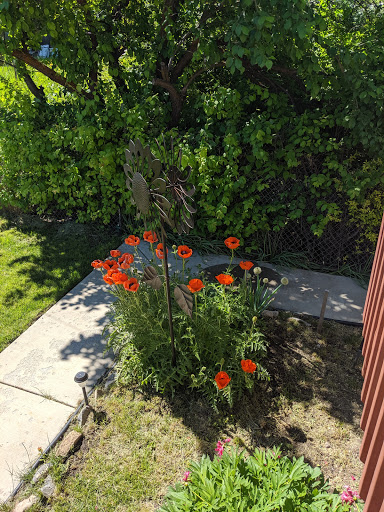 Lumber Store «Sutherlands Lumber #2810», reviews and photos, 1780 W North Temple, Salt Lake City, UT 84116, USA