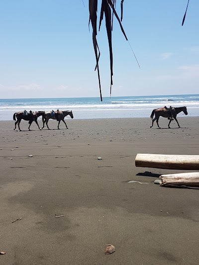 Photos of Casa Marea Alta