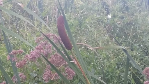National Park «First State National Historical Park - Peters Rock Parking», reviews and photos, Thompsons Bridge Rd, Wilmington, DE 19803, USA