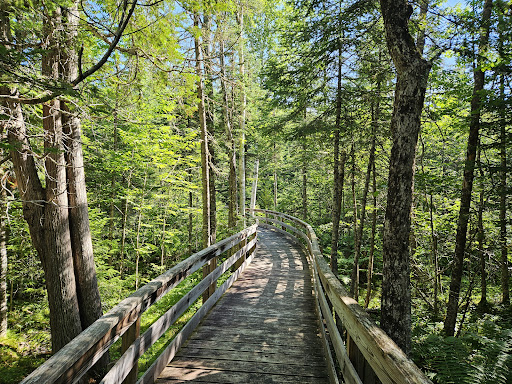 Mud Pond National Recreation Trail